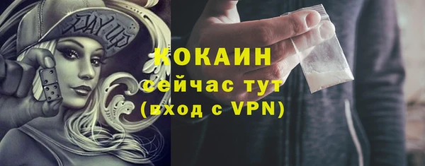амф Верея
