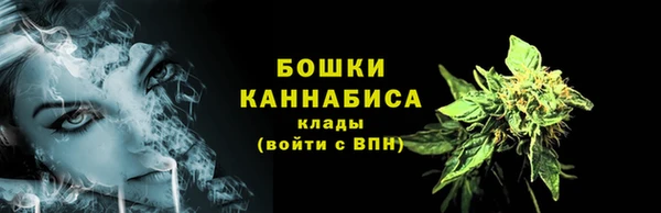 амф Верея
