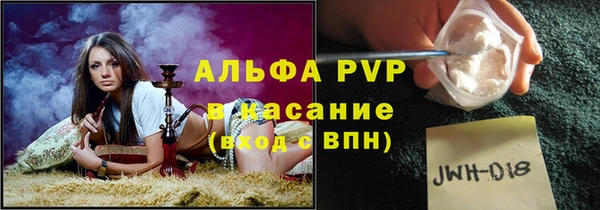 амф Верея